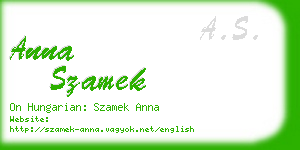 anna szamek business card